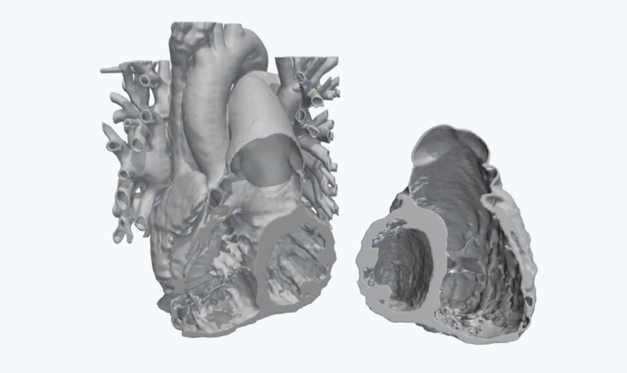 Anatomical 3D Heart