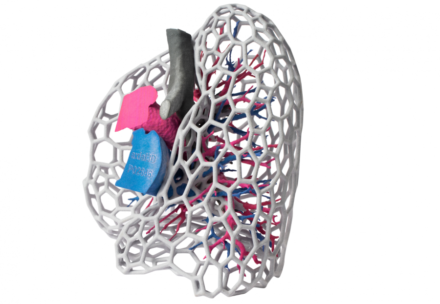 Lungs article header